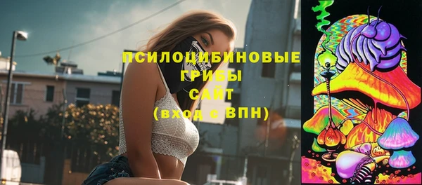 мяу мяу мука Осинники