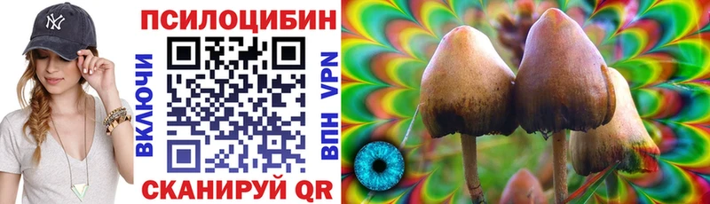 Псилоцибиновые грибы MAGIC MUSHROOMS hydra ТОР Агрыз